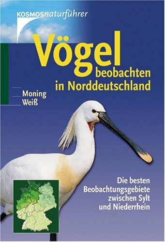 Vögel beobachten in Norddeutschland: Die besten Beobachtungsgebiete zwischen Sylt und Niederrhein