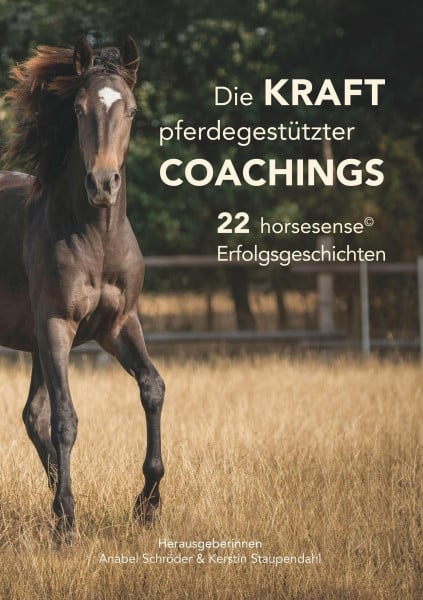 Die Kraft pferdegestützter Coachings: 22 horsesense Erfolgsgeschichten