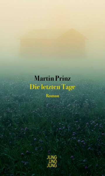 Die letzten Tage: Roman