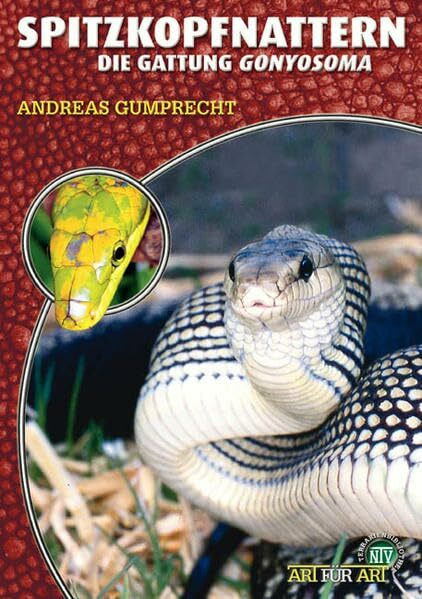 Spitzkopfnattern: Die Gattung Gonyosoma (Buchreihe Art für Art Terraristik)