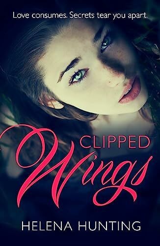 Clipped Wings: The addictively spicy romance you won’t be able to put down!