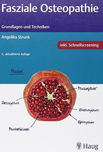 Fasziale Osteopathie: Grundlagen und Techniken