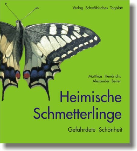 Heimische Schmetterlinge: Gefährdete Schönheit