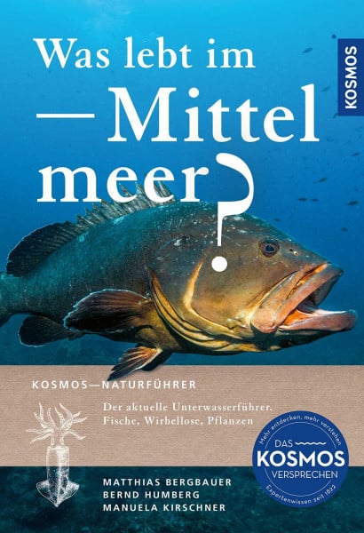 Was lebt im Mittelmeer?: Der aktuelle Unterwasserführer: Fische, Wirbellose, Pflanzen. Das Bestimmungsbuch für Taucher und Schnorchler – über 400 Meerestiere und Meerespflanzen bestimmen