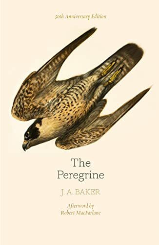 William Collins The Peregrine, 50th Anniversary Edition, Afterword By Robert Macfarlane