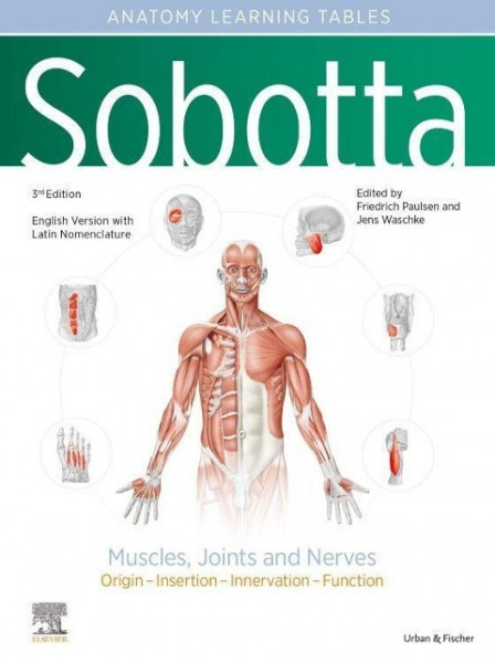 Sobotta Learning Tables of Muscles, Joints and Nerves, English/Latin