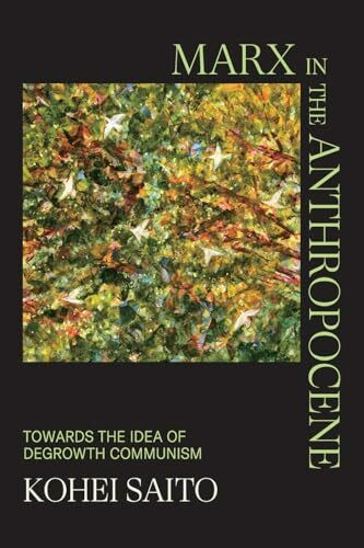 Marx in the Anthropocene: Towards the Idea of Degrowth Communism