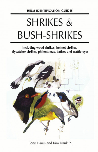 Shrikes and Bush-shrikes: Including Wood-shrikes, Helmet-shrikes, Shrike Flycatchers, Philentomas, Batises and Wattle-eyes (Helm Identification Guides)