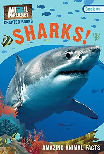 Sharks! (Animal Planet Chapter Books #1)