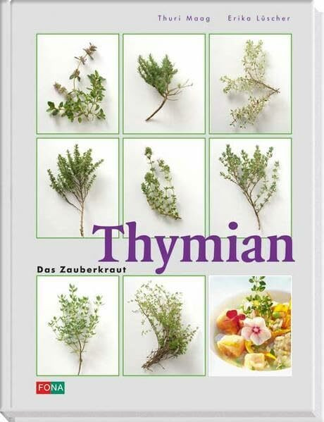 Thymian: Das Zauberkraut (Standard)