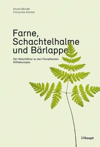 Farne, Schachtelhalme und Bärlappe: Der Naturführer zu den Farnpflanzen Mitteleuropas
