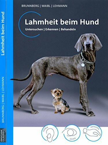 Lahmheit beim Hund: Untersuchen/ Erkennen/ Behandeln