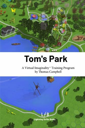 Tom's Park: A Virtual Imaginality™ Training Program