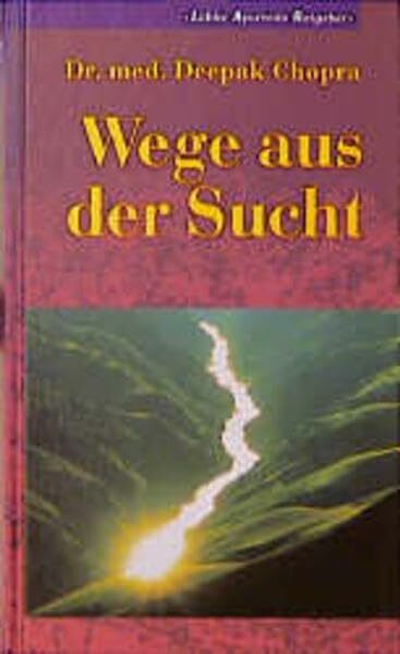 Wege aus der Sucht: Lübbe Ayurveda Ratgeber