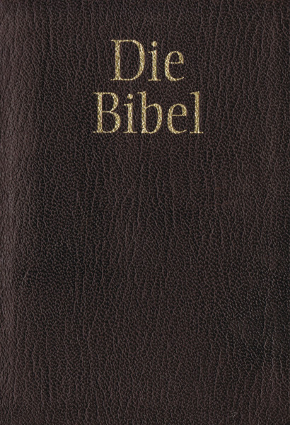 Taschenbibel. Die Bibel oder Die ganze Heilige Schrift des Alten und Neuen Testaments