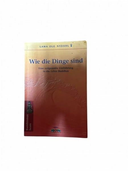 Wie die Dinge sind. Eine zeitgemäße Einführung in die Lehre Buddhas