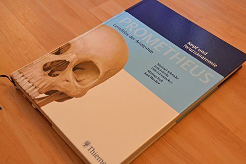 PROMETHEUS Lernatlas der Anatomie. Kopf und Neuroanatomie