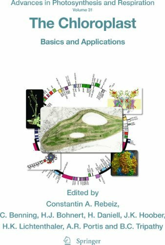 The Chloroplast: Basics and Applications (Advances in Photosynthesis and Respiration, 31, Band 31)