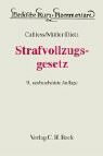 Strafvollzugsgesetz: Gesetz über den Vollzug der Freiheitsstrafe und der freiheitsentziehenden Maßregeln der Besserung und Sicherung mit ergänzenden Bestimmungen