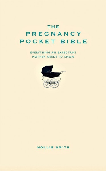 The Pregnancy Pocket Bible