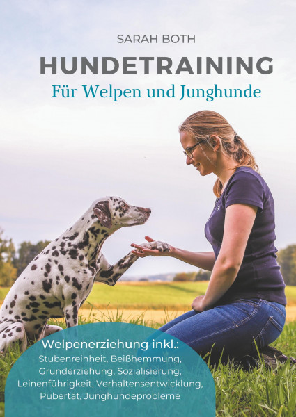 Hundetraining für Welpen und Junghunde