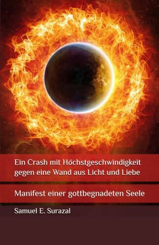 Ein Crash mit Höchstgeschwindigkeit gegen eine Wand aus Licht und Liebe: Manifest einer gottbegnadeten Seele (Göttliche Offenbarungen, Prophetie und geistiges Leben)