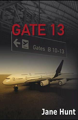 Gate 13 (Hendrik Baur, Band 4)