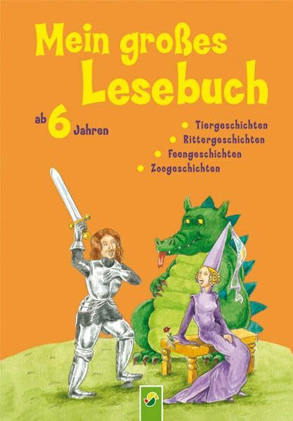 Mein großes Lesebuch ab 6 Jahren: Tiergeschichten, Rittergeschichten, Feengeschichten, Zoogeschichten