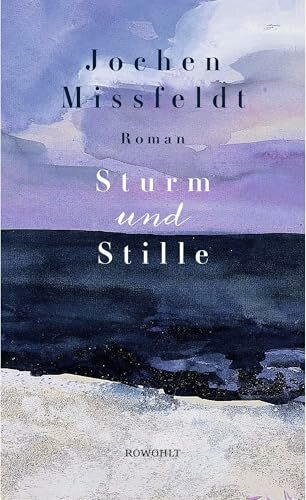 Sturm und Stille: Roman