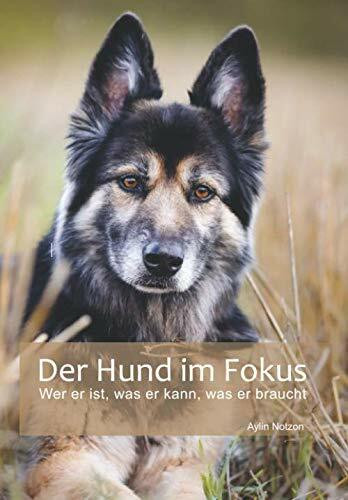 Der Hund im Fokus: Wer er ist, was er kann, was er braucht