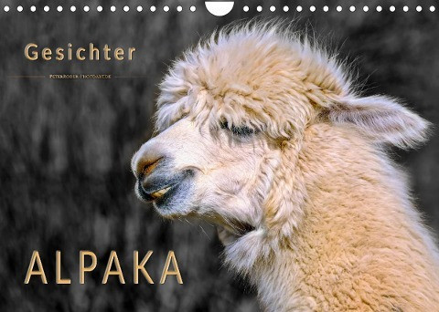 Alpaka Gesichter (Wandkalender 2023 DIN A4 quer)