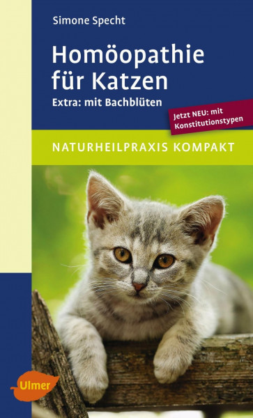 Homöopathie für Katzen