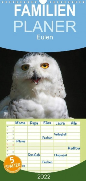 Eulen - Familienplaner hoch (Wandkalender 2022 , 21 cm x 45 cm, hoch)