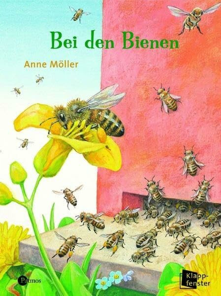 Bei den Bienen (Kindersachbilderbuch)