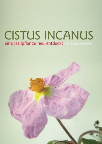 Cistus Incanus: Eine Heilpflanze neu entdeckt