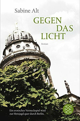 Gegen das Licht: Roman