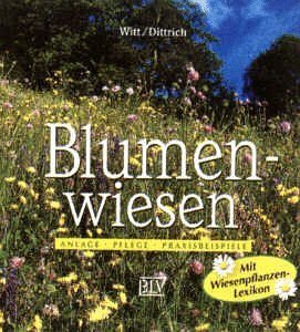 Blumenwiesen
