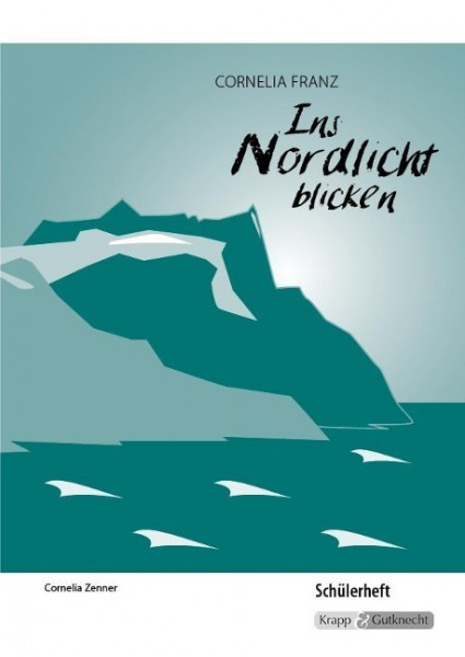 Ins Nordlicht blicken - Cornelia Franz