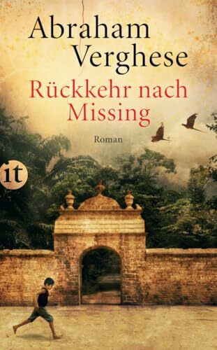 Rückkehr nach Missing: Roman | Packende Familiensaga zwischen Äthiopien und New York (insel taschenbuch)