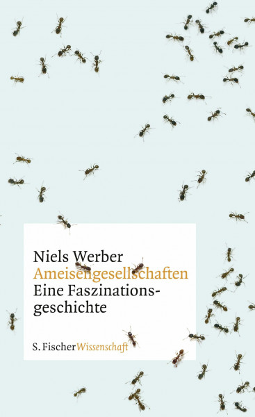 Ameisengesellschaften: Eine Faszinationsgeschichte (Fischer Wissenschaft)