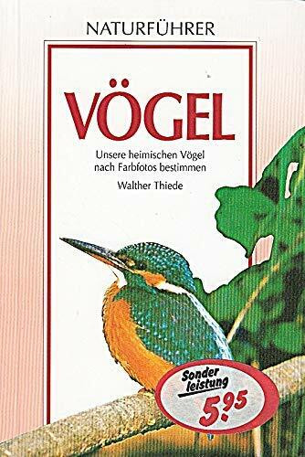 Vögel