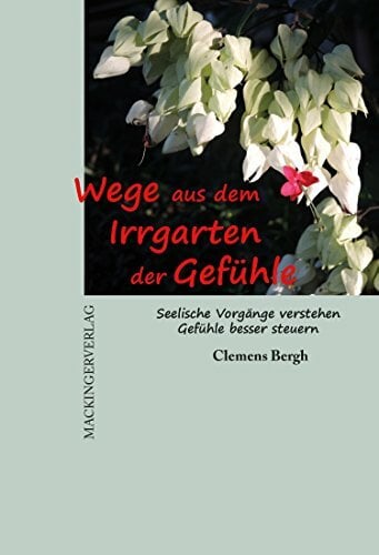 Wege aus dem Irrgarten der Gefühle: Seelische Vorgänge verstehen, Gefühle besser steuern Wege aus dem Irrgarten der Gefühle: Seelische Vorgänge verstehen, Gefühle besser steuern