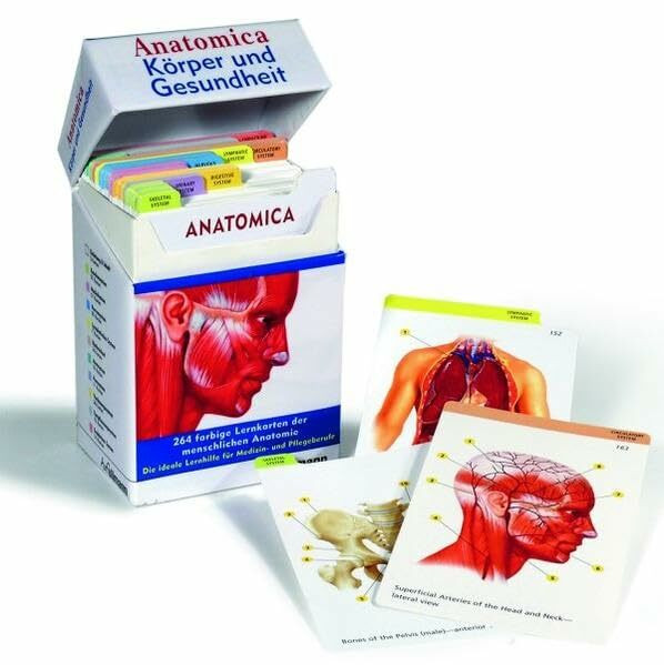 Anatomica Lernkartensystem: Die ideale Lernhilfe für Medizin- und Pflegeberufe
