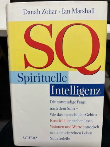 SQ, Spirituelle Intelligenz