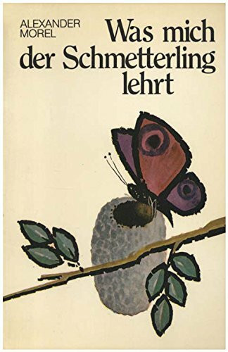 Was mich der Schmetterling lehrt