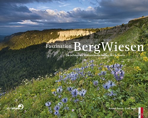 Faszination Bergwiesen: Die schönsten Wiesenlandschaften der Schweiz