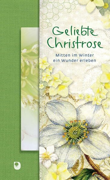 Geliebte Christrose: Mitten im Winter ein Wunder erleben (Präsente Premium)