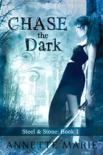 Chase the Dark (Steel & Stone, Band 1)