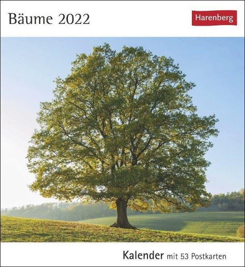 Bäume 2022