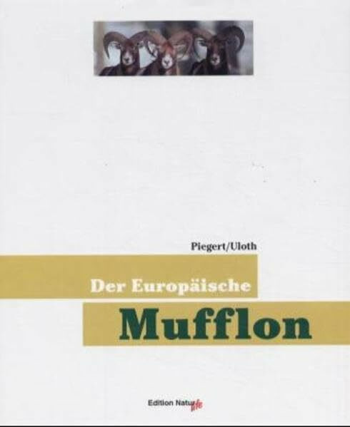 Der europäische Mufflon (Edition Natur life im DSV-Verlag)